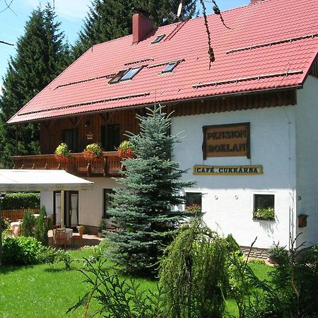 Pension Roklan Železná Ruda Exteriér fotografie