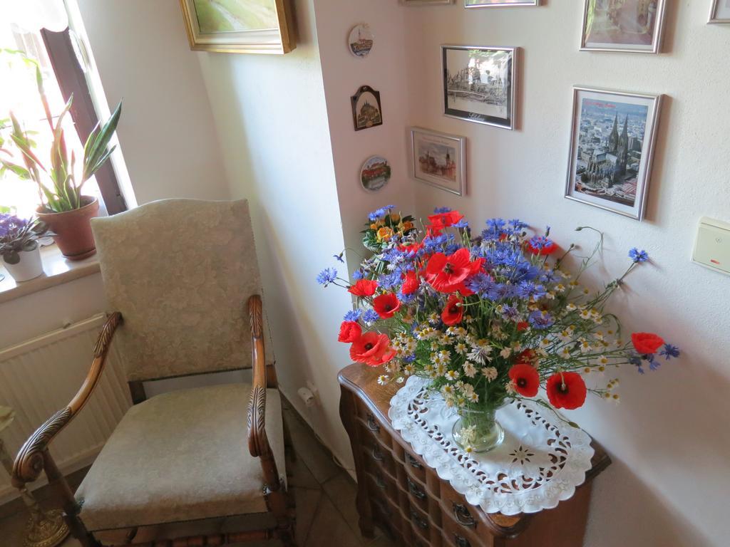 Pension Roklan Železná Ruda Exteriér fotografie