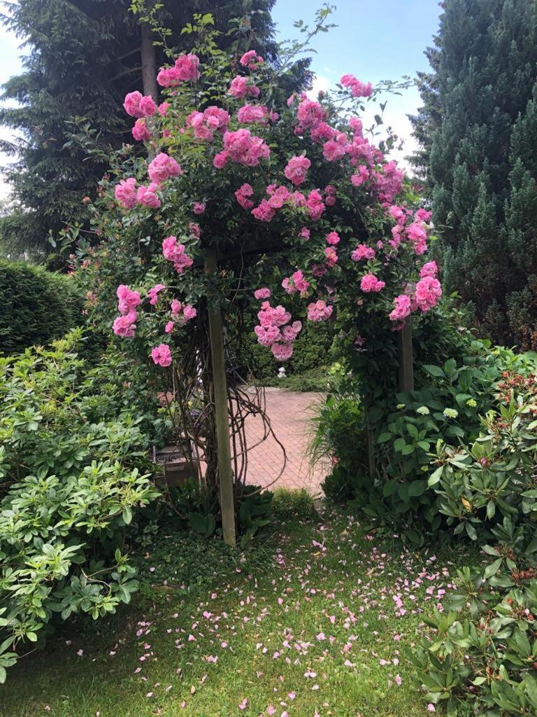 Pension Roklan Železná Ruda Exteriér fotografie