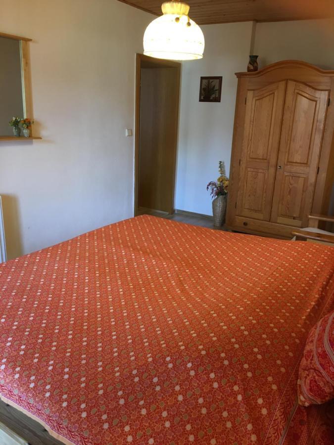 Pension Roklan Železná Ruda Exteriér fotografie